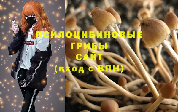 ALPHA-PVP Нязепетровск