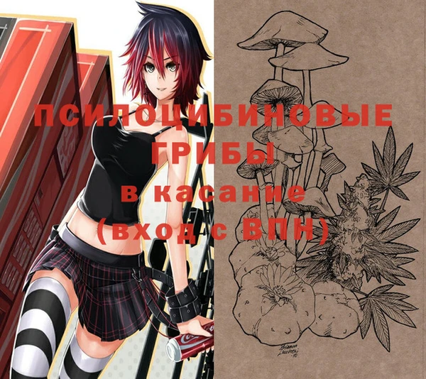 кокс Няндома