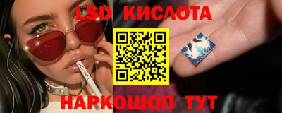 бошки Гагарин