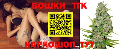 бошки Гагарин